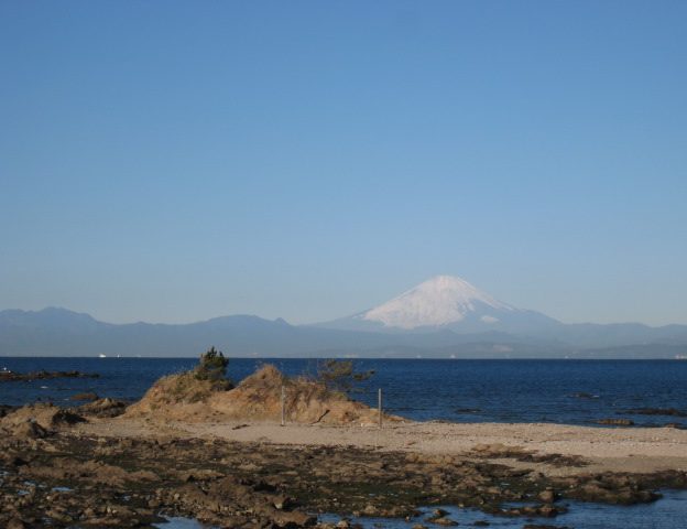 海のリトリート　富士山